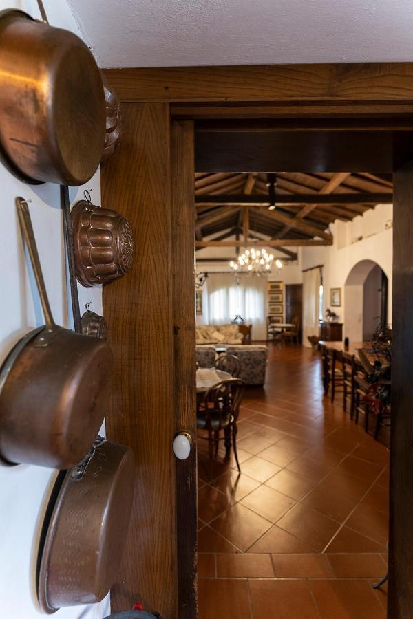 Agriturismo Il Bottaccino 몬숨마노테르메 외부 사진