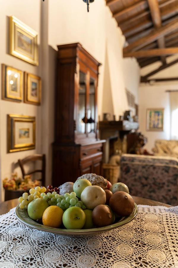 Agriturismo Il Bottaccino 몬숨마노테르메 외부 사진
