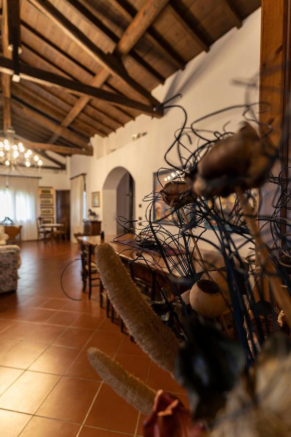 Agriturismo Il Bottaccino 몬숨마노테르메 외부 사진